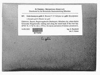Image Associated With the Occurence